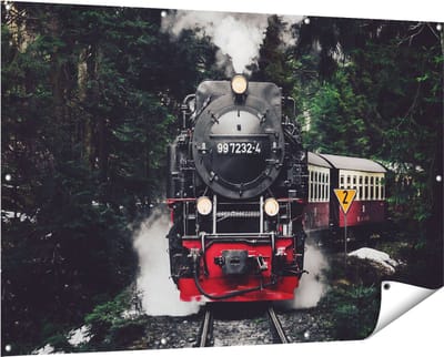 Gards Tuinposter Locomotief in de Bossen met Stoom Wolken - 150x100 cm - Tuindoek - Tuindecoratie - Wanddecoratie buiten - Tuinschilderij