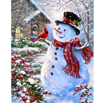 5D DIY Diamond Painting  Sneeuwpop vogel  Borduurkruissteek 3D Home Decor 20X30CM gray