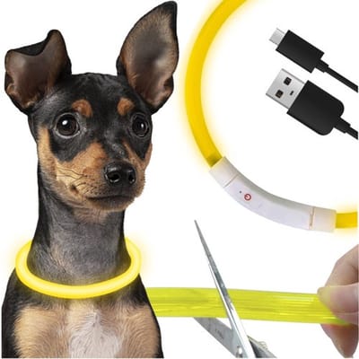 Verstelbare Oplaadbare LED Halsband Hond I Honden Halsband I Nylon I Op Maat Te Knippen 20 - 70 CM I Dieren Halsband I Geel