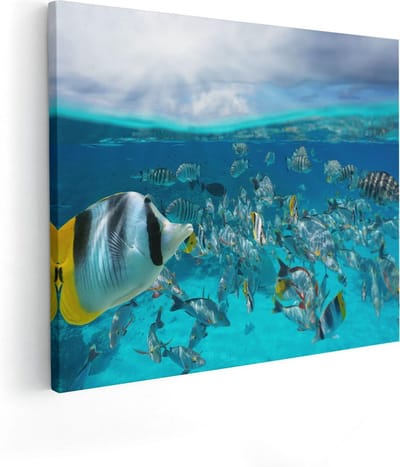 Artaza Canvas Schilderij Zee En Strand - 50x40 cm - Wanddecoratie Onderwaterwereld - Muurdecoratie Vissen - Schilderijen Op Canvas Tropisch