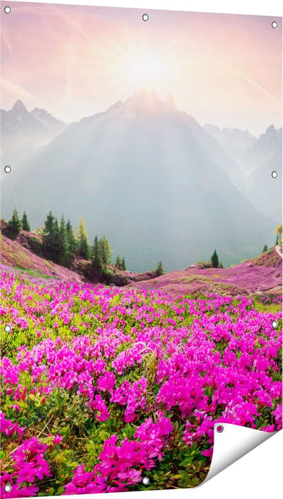 Gards Tuinposter Rhododendron Bloemenveld in de Alpen - 80x120 cm - Tuindoek - Tuindecoratie - Wanddecoratie buiten - Tuinschilderij