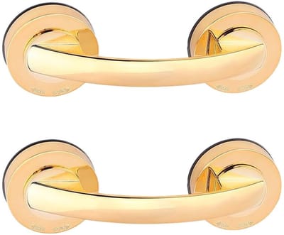 Dailygoods- Grab Bar - 2 Stuks - Antislip Zuighandvat - Badkamer Veiligheid - Ondersteuning voor Douche/Badkuip - Lichtgewicht en Compact - Veiligheidsbeugel