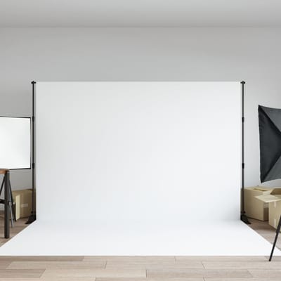 vidaXL - Achtergrondstandaard - 305x243 - cm - staal - zwart