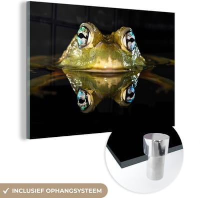 MuchoWow® Glasschilderij 150x100 cm - Schilderij acrylglas - Kikker - Ogen - Portret - Foto op glas - Schilderijen