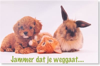 Jammer dat je weggaat - Afscheid collega Wenskaart - 12 x 17 cm - gevouwen kaart Inclusief envelop
