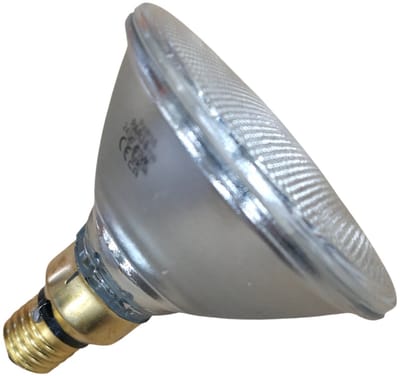 Schiefer E27 PAR38 Halogeen Spot | 80W 2800K 220V/240V 30° | Ø122mm Dimbaar