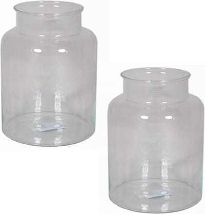 Floran Vaas melkbus - 2x - smalle hals - glas - transparant - 19 x 25 cm - Bloemenvazen