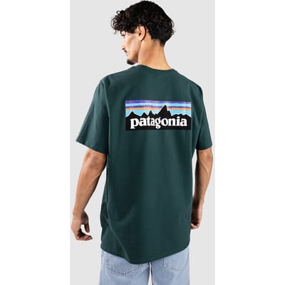 Patagonia P-6 Logo Responsibili T-Shirt groen
