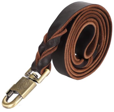 Dailygoods- Hondenriem Zacht Lederen - Gevlochten Hond Training - 2,5 cm Breedte - 150 cm Lengte - Huisdier Ketting - Schokbestendig - Hondentuig