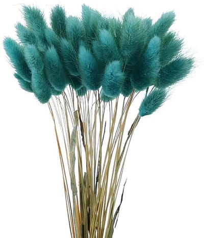 Dailygoody - Gedroogde Pampas Grassen - 60 Stuks Natuurlijke Pampas
