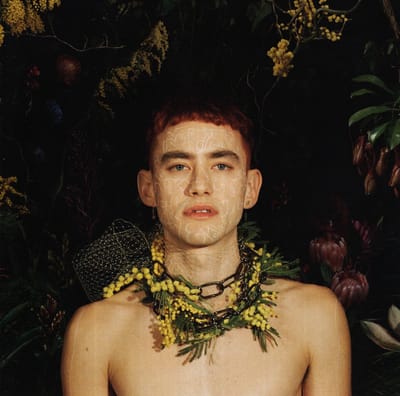 Palo Santo