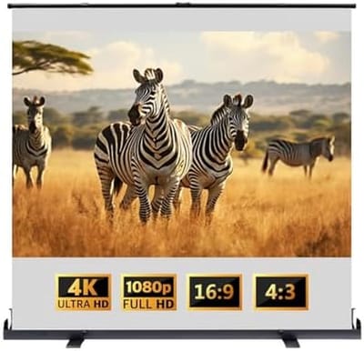 Projectiescherm Vloer - Mobiel Filmscherm - Thuisbioscoop Ervaring - Aanpasbare Beeldverhouding - 80 Inch 4:3 16:9 - Zwart