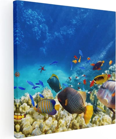 Artaza Canvas Schilderij Koraalrif - 30x30 cm - Klein - Wanddecoratie Tropische Vissen - Muurdecoratie Zee - Kamer Accessoires Onderwater