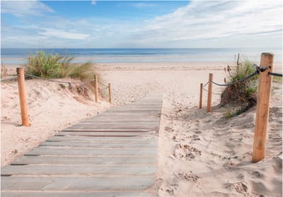 Fotobehangkoning - Behang - Vliesbehang - Fotobehang Pad naar de Zee - Strand - 400 x 280 cm