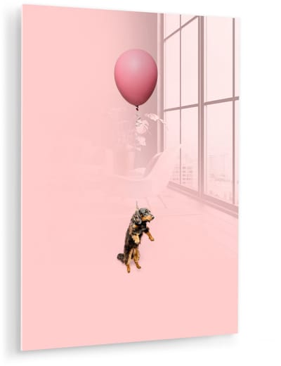 ® Glasschilderij 120x160 cm - Schilderij acrylglas - Teckel zweeft omhoog door een ballon - Foto op glas - Muurdecoratie woonkamer - Wanddecoratie slaapkamer - Schilderijen