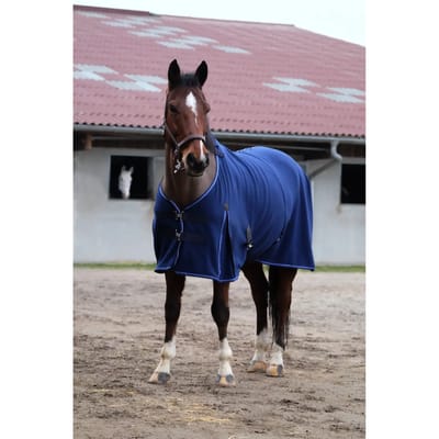 Paard fleece shirt Equithème Classic