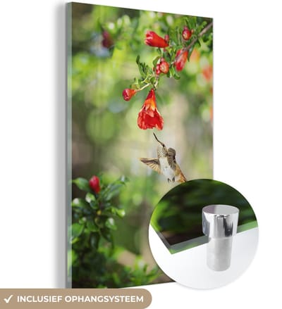 ® Glasschilderij 120x180 cm - Schilderij acrylglas - Vogel - Kolibrie - Rood - Groen - Foto op glas - Muurdecoratie woonkamer - Wanddecoratie slaapkamer - Schilderijen
