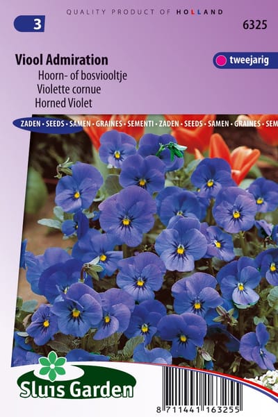 Sluis Garden - Viool Admiration (Grootbloemige bosviooltje)