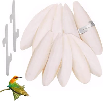 Set van 10 sepia schelpen voor slakken en vogels, 9-12 cm, calciumrijke accessoires voor reptielen en huisdieren