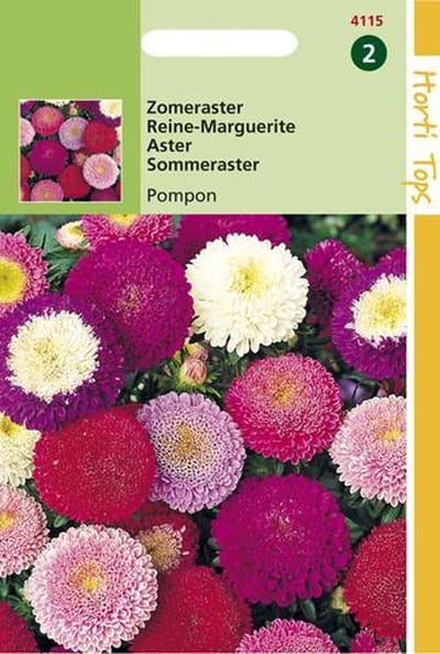 Hortitops Zaden - Callistephus Chinensis Pompon Gemengd