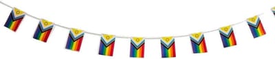 Regenboogvlag Slinger - Pride Decoratie - Feestelijke Aankleding - Waterdicht Materiaal - 114 Meter - Multicolor