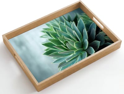 Dienblad hout 50x35 cm - Schootdienblad - Vetplant - Bladeren - Groen - Wazig - Borrelplank rechthoek - Plateau dienbladen