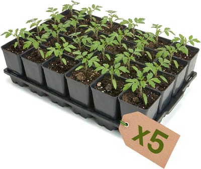 Garronda Set van 5 kweektrays met 24 x 0,8 L potten GD-KW-T