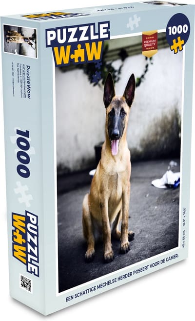 Puzzel Een schattige Mechelse herder poseert voor de camera - Legpuzzel - Puzzel 1000 stukjes volwassenen