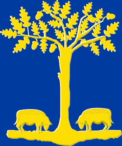 Vlag Lommel 100x150cm