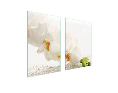 TMK ArtDeko - Glazen Beschermer - Orchidee - 65x52 cm - Veelzijdig