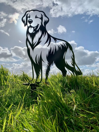 Metalen hond - Golden Retriever - Cortenstalen tuinprikker- Tuindecoratie