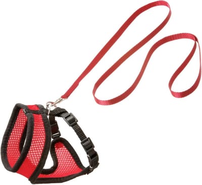 Flamingo kattentuigje Harms set - rood/zwart - 120cm x 15mm