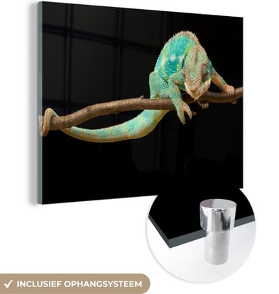 MuchoWow® Glasschilderij 160x120 cm - Schilderij acrylglas - Kameleon - Tak - Pastel - Foto op glas - Schilderijen