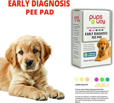 Diagnostische Hondenmat | Kleurveranderende hondenurinematten (3-pack)| 60x90 cm extra groot| Gezondheidsmonitorende puppymatten met pH-indicator| Vroege detectie van urineweginfecties en nierproblemen| Lekvrije en superabsorberende huisdiermatten