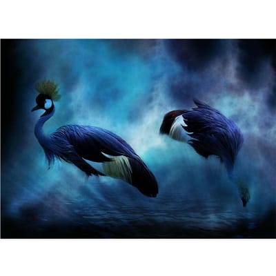 Diamant schilderij borduurpakketten diamant borduurwerk mozaïek pauw patroon foto Home decor cadeau 20X30CM blue