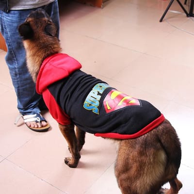 Grote Hond Hondenfleece Trui Golden Retriever Husky Labrador Grote Hond Kleding 4XL