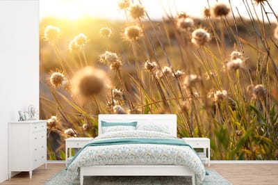 Behang - Fotobehang Planten - Natuur - Bloemen - Zon - Horizon - Breedte 600 cm x hoogte 400 cm