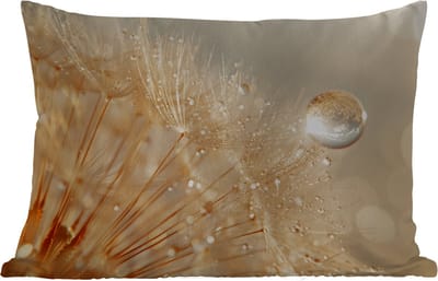 Buitenkussens - Tuin - Paardenbloem - Water - Natuur - Planten - Modern - 50x30 cm