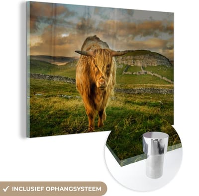 MuchoWow® Glasschilderij 150x100 cm - Schilderij acrylglas - Schotse Hooglander - Gras - Berg - Foto op glas - Schilderijen