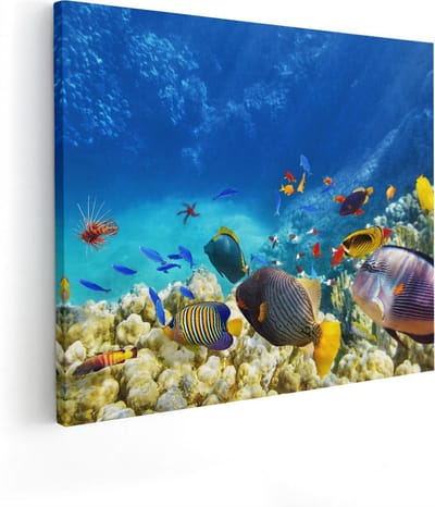 Artaza Canvas Schilderij Koraalrif - 50x40 cm - Wanddecoratie Tropische Vissen - Muurdecoratie Zee - Kamer Accessoires Onderwater