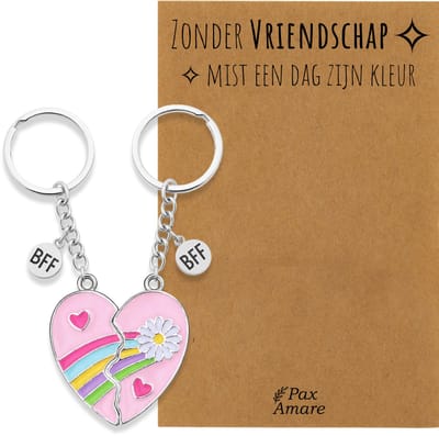 BFF Sleutelhanger voor 2 'Zonder Vriendschap mist een dag zijn kleur' - Roze Hartje met Bloem - Sleutelhanger set op Cadeau Kaartje - Zilverkleurig - Vriendschap Symbool - Pax Amare