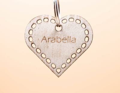 Houten Dieren Tag, Gepersonaliseerde hondenpenning, gepersonaliseerde kattenpenning, Custom Pet Naam Tag, Puppy/ honden penningen/ naam tag voor hond/ naam tag voor kat Id Tag/ hart met naam/ gepersoonaliseerde dieren penning