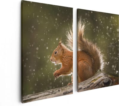 Artaza Canvas Schilderij Tweeluik Eekhoorn in de Regen - 80x60 - Foto Op Canvas - Canvas Print
