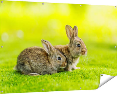 Gards Tuinposter Twee Konijnen op het Groene Gras - 150x100 cm - Tuindoek - Tuindecoratie - Wanddecoratie buiten - Tuinschilderij