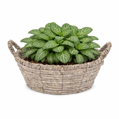 Mega Collections bloemen/plantenmand Sneek - grijs - riet - D29 x H13 cm - bloempot/plantenpot