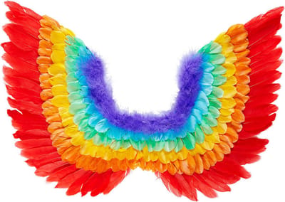 Vleugels regenboog