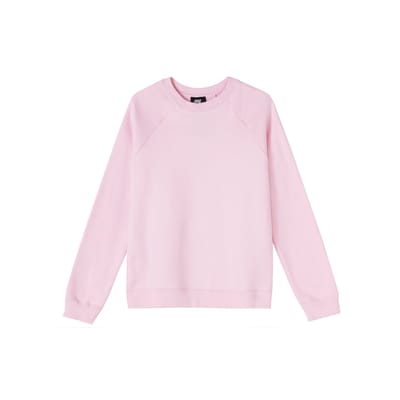 Sweatshirts Nike Femme Rose Col Rond Modéré Regular BV7488-630 S gray