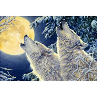 DIY 5D Diamanten Borduren Maan Huilende Wolf Ronde Diamant Schilderen Borduurpakketten Diamant Mozaïek Woondecoratie 20X30CM