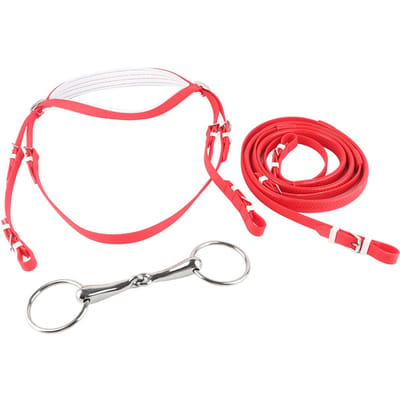 PVC Verstelbare Paardentoomtuig Teugels Harnas Hoofdstellen Afneembaar Roestvrij Staal Holle Bit red