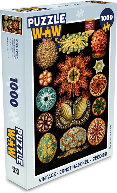 Puzzel Vintage - Ernst Haeckel - Zeedier - Natuur - Zee - Kunst - Legpuzzel - Puzzel 1000 stukjes volwassenen
